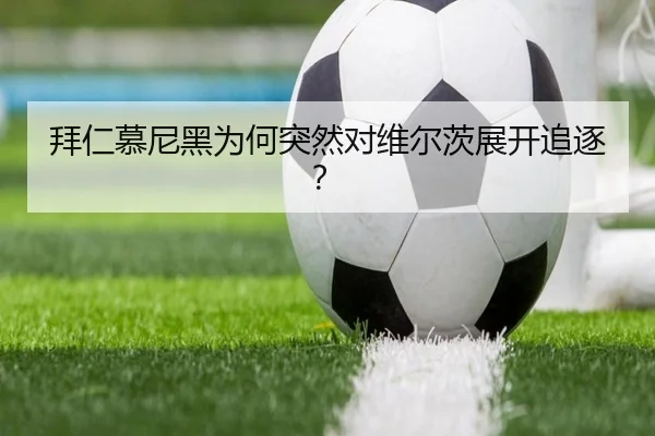 拜仁慕尼黑为何突然对维尔茨展开追逐？